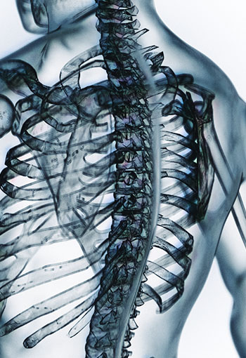 Medical Medical & Veterinary - X-Ray image of a person